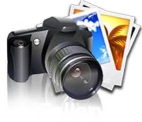 Photo Gallery 381x326x0x0x381x326x1731188597